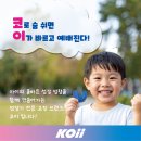 코이(koii) - 강남구 | 코이(koii)