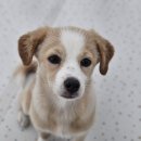 멈무는하루 이미지