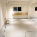 수영로유치원 | 광안애견유치원으로 유명한 멍치원에서 맡겨보기