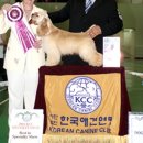데이빗