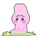 스시마당 이미지