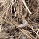 용운농장 이미지