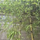 한농농약사 이미지