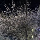 여우산장 이미지