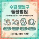 영통동물병원 | 수원 영통구 동물병원 예약 방법 및 예방접종 일정 바로 알아보기