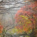 증심사길 이미지