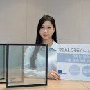 그레이 이미지