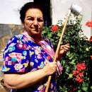 카사레스 이미지