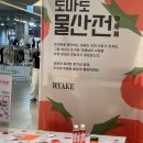 [팝업-log.eun] 도마도가 되고싶은 자의 ‘토마토 물산전’ 후기