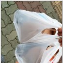 맘스터치 물금점 이미지