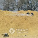 연합왕겨 이미지