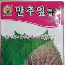 장춘종묘사 네이버블로그