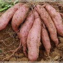 재경농장 이미지