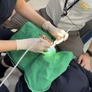 바른치과기공소 이미지