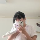 다사라 몰