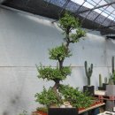 신목농장 이미지