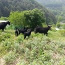 형중농장 이미지