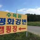 평화강변수목캠핑장 이미지