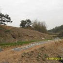 양대로5번길 이미지