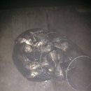 오목낚시터(신창낚시터) 이미지