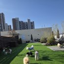 더봄 | 양평 애견카페·호텔 더봄 체험 후기