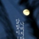 달빛 이미지