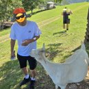 거창목장 | 몽토랑산양목장 태백호텔 1박2일 가족여행