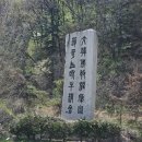 용인대사강태권도장 | [용인 사찰 여행 ] 황금빛 이국적인 분위기 《와우정사》