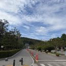 안락초등학교 | 명장5구역 재개발 직접 가봤습니다 — 초등학교 품은 재개발 구역, 지금은 어떤 상태일까