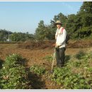 엄나무골농장 이미지