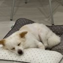 도도프라이빗펜션 이미지