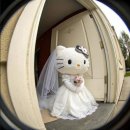 미송헤어 | 결혼준비 중간점검(스몰웨딩베뉴, 웨딩헤메, 청첩장 정보 한가득)