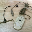 에이스 캣 이미지