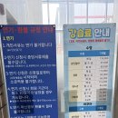 대구수영개인강습 | 대구 새본리수영장 자유수영 후기와 강습 안내