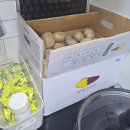 [갑상선암 저요오드식단 후기 1편] 진단스캔검사 전 2주 식단… 감자 6kg 먹으며 버틴 현실 후기 🥔