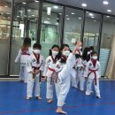 경희대금호태권도장 이미지