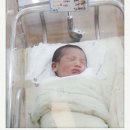 삼성산부인과 이미지