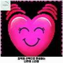 면목동-184 | 면목본동 애견카페 멍뭉다방 가격 및 후기 추천 리뷰 주차 예약 알아볼까요