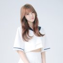 다원 이미지