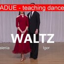 WA - NDCA - Waltz--기본형 이미지