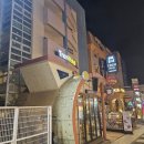 제주 공항 근처 가성비 애견동반숙소 뜨래비호텔 내돈내산 방문후기
