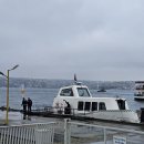 궁전아파트건너 | [터키5_탁심_돌마바흐제 궁전에서 이스탄불 현대 미술관까지 걸어가기] 낚시 아저씨와 고양이