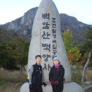 칠성초등 이미지