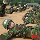 원광보건대학 이미지
