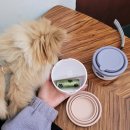 린클랑스토어 | 린클랑스토어 댕보울 휴대용 강아지 물통 간식통 풉백 3in1 산책 필수템