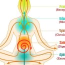 프라나요가 이미지