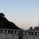 신궁교 이미지