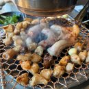 오발탄파라다이스시티