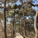 한반도면-14 | 강원도 영월 여행지 가볼만한 영월 장릉 방문후기