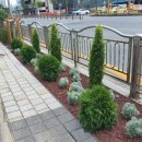 삼성초등학교#3 이미지